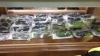 30 X BRAND NEW PACKAGED POLICE SUNGLASSES IN VARIOUS STYLES