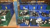 APPROX £600 RETAIL VALUE OF CHILDRENS BLACK FOOTWEAR IN VARIOUS STYLES & SIZES IN 5 TRAYS (NOT INCLUDED) - NOTE: ITEMS ARE SIMPLE MAGNETIC SECURITY TAGGED