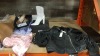 MIXED TOPSHOP LOT CONTAINING PINK DRESS, PURPLE DRESS, BLACK LEATHER STYLED COAT, UNIQUE WHITE BOOTS AND KURT GEIGER HEELS ETC TOTAL RRP £1000.00