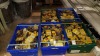 APPROX 500+ PACKS OF 2 AA CAR ESSENTIALS INDICATOR BULBS AND STOP & TAIL BULBS - IN FIVE TRAYS