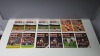 COMPLETE COLLECTION OF MANCHESTER UNITED HOME GAME PROGRAMMES FROM THE 1979/1980 SEASON. RANGING FROM ISSUE 1 - 24 IN VERY GOOD CONDITION (SOME HAVE TOKENS MISSING) - 2
