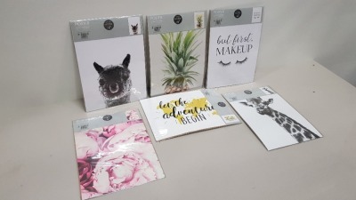 1152 X BRAND NEW A3 POSTERS IN VARIOUS DESIGNS IE BUT FIRST MAKEUP, FLOWER POSTER, STAY WILD, XOXO, LET THE ADVENTURE BEGIN, GIRAFFE AND A PINEAPPLE POSTER IN 32 BOXES