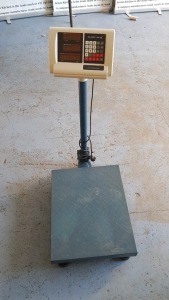 1 X STEINBERG PLATFROM SCALES (MODEL SBS-PF-150/10B)