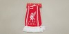 19 X BRAND NEW LIVERPOOL (L.F.C) SCARVES