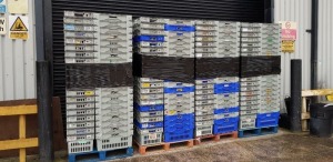 40 X STACKABLE CRATES IN GREY/BLUE 60 X40 X30CM (IN 2 LEGS)