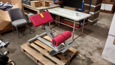 1 X USED FORCE BACK EXTENSION MACHINE