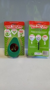 400 X BRAND NEW GROW YOUR OWN AVOCADO TREE 3 STAGE INSTRUCTIONS ( IN 2 BOXES )