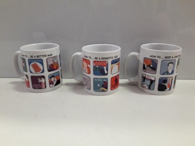 500 + PIECE LOT CONTAING MUGS TO INCLUDE HOW TO .. KEEP A GIRLFRIEND / HOW TO ... BE A DOMESTIC GOD AND HOW TO .. BE A BETTER MAN - COMES IN 14 BOXES