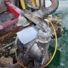 AIR OPERATED DIAPHRAGM PUMP (NOTE: ASSET LOCATED IN MIDDLETON & MUST BE REMOVED BY 16TH SEPTEMBER 2022)