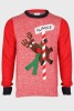 35 X BRAND NEW ASSORTED NOVELTY CHRISTMAS JUMPERS IE. POLE DANCING RUDOLPH 3D GOOGLY EYES (XXL-1, XL-15, L-11), ICE BABY LIGHT UP JUMPER BURGUNDY (XL-8)