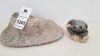 1 X TOAD ON ROCK SIZE 10CM X 15CM WITH 3 X FIBRE GLASS MOULDS AND LATEX SLIPS