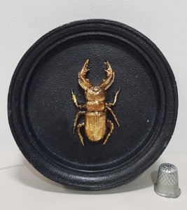 96 X BRAND NEW THE VINTAGE GARDEN ROOM BLACK AND GOLD BEETLE WALL DÉCOR SIZE 11.5CM CIRCUMFERENCE IN 3 BOXES