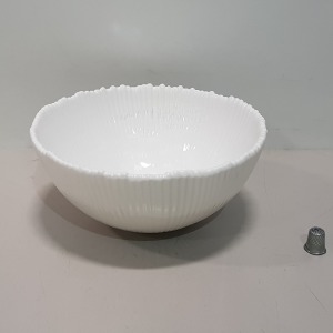 60 X BRAND NEW THE VINTAGE GARDEN ROOM WHITE CERAMIC BOWLS IN 5 BOXES - SIZE- 20CM X 9CM