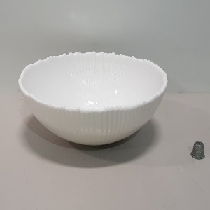 60 X BRAND NEW THE VINTAGE GARDEN ROOM WHITE CERAMIC BOWLS IN 5 BOXES - SIZE- 20CM X 9CM