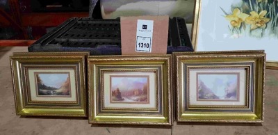 3 X NATURE LANDSCAPE PICTURES - IN FRAMES