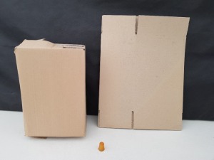 1600 X BRAND NEW CARDBOARD BOXES SIZE - 19CM X 13CM X 28CM