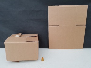 1300 X BRAND NEW CARDBOARD BOXES IN SIZE 22CM X 16CM 14CM