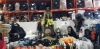 30 X PIECES BRAND NEW MIXED HALLOWEEN LOT CONTAINING HALLOWEEN THEMED ITEMS , 1M B-O STANDING WITCH WITH SOUND & MOVMENT , 1.5M ANIMATED STANDING REAPER SOUND & MOVEMENT , 41CM TABLE TOP TREE MAN, PUMPKIN LIGHTS ETC - ON A FULL BAY