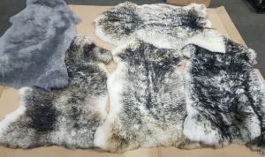 5 X GENUINE SINGLE SHEEP SKIN RUGS SIZE 115CM X 70CM IN COLOURS BLACK AND WHITE GREY,AND WHITE AND WHITE,