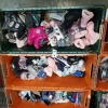 75 X MIXED SHOE LOT CONTAINING STUDIO BOOTS - DISNEY PRINCESS WELLYS - SLAZENGER PUMPS - CROCS - BATMAN TRAINERS - MINION SLIPPERS, ETC