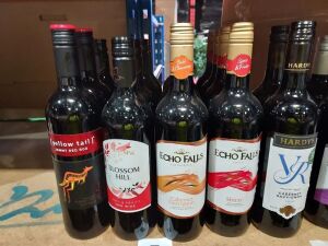 17 PIECE BRAND NEW MIXED RED WINE LOT CONTAINING ECHO FALLS IN VARIOUS FLAVOURS - BLOSSOM HILL - YELLOW TAIL - HARDYS ALL 75CL