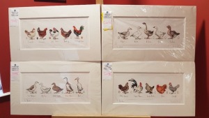 4 PRINT PAINTINGS OF POULTRY ALL SIGNED BY ARTIST MADELEINE FLOYD 1ST GEESE 106/195 55CM X 32CM 2ND CHICKENS 179/195 55MM X 32CM 3RD BANTAMS 151/195 55CM X 32CM 4TH DUCKS 136/195 55CM X 32M